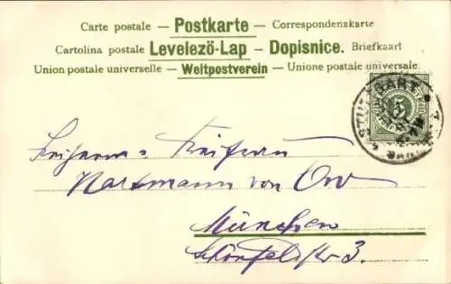 Litho Glückwunsch Neujahr, Jahreszahl 1902, Kleeblätter, Vergissmeinnichtblüten