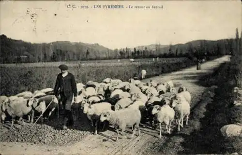 Ak Les Pyrenees, le Retour au Bercail