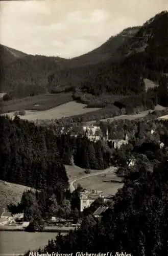 Ak Sokołowsko Görbersdorf Schlesien, Teilansicht