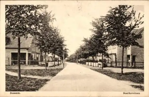 Ak Bussum Nordholland Niederlande, Boerhavelaan