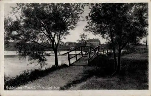 Ak Schönberg in Mecklenburg, Prolilusbrücke, Bäume am Ufer eines Flusses, dahinter Häuser