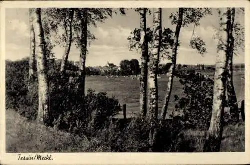 Ak  Monti della Trinità Locarno Kanton Tessin, Bäume, dahinter ein Feld, am Horizont ein Dorf