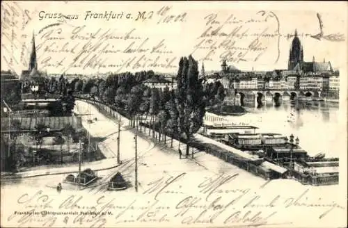 Ak Frankfurt am Main, Panorama mit Main und Brücke, Damen Schwimmbad E. Kayser