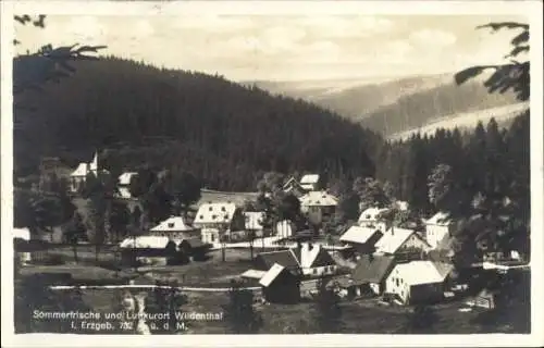 Ak Wildenthal Eibenstock im Erzgebirge, Sommerfrische und Luftkurort