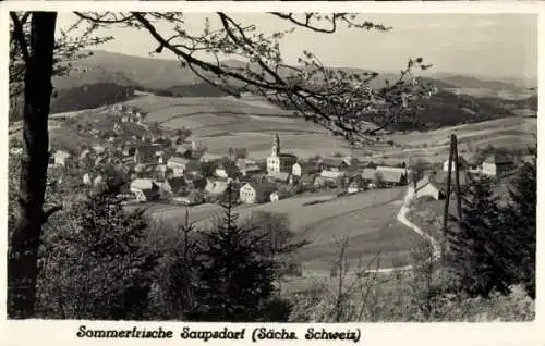 Ak Saupsdorf Sebnitz in Sachsen, Blick auf den Ort, Felder, Kirche