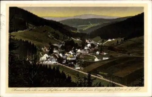 Ak Wildenthal Eibenstock im Erzgebirge, Blick ins Tal auf den Ort und die Umgebung