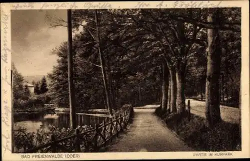 Ak Bad Freienwalde an der Oder, Partie im Kurpark