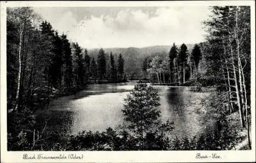 Ak Bad Freienwalde an der Oder, Blick auf den Baasee