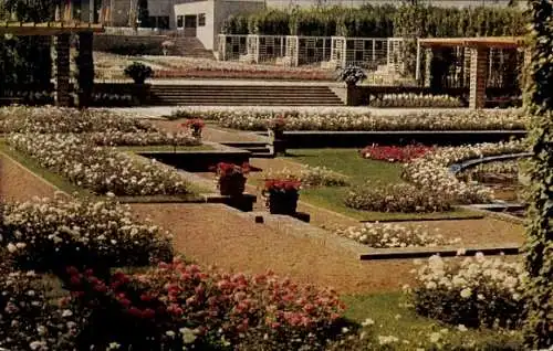 Ak Essen im Ruhrgebiet, Gruga Gartenbauausstellung 1929, Pergolagarten mit Rosenanlage und Rosencafé