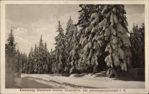 Ak Steinbach Johanngeorgenstadt im Erzgebirge Sachsen,Kammweg Kleiner Kranichsee