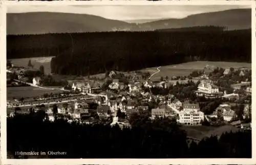 Ak Hahnenklee Bockswiese Goslar im Harz, Gesamtansicht