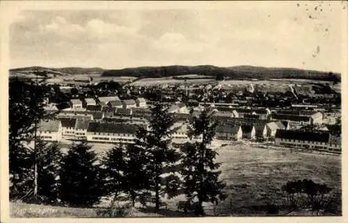 Ak Salzgitter in Niedersachsen, Panoramablick über den Ort, Wohnsiedlung