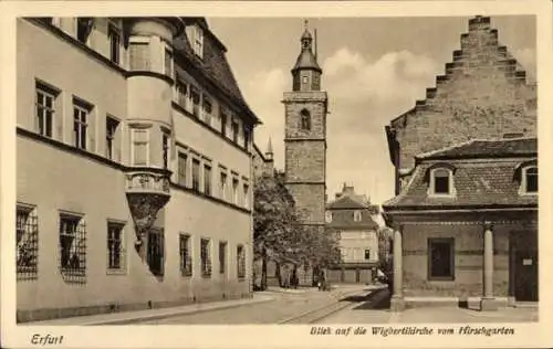 Ak Erfurt in Thüringen, Wigbertikirche vom Hirschgarten aus