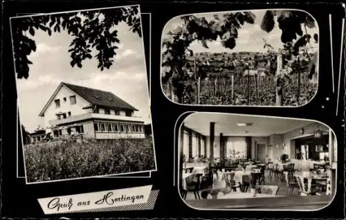 Ak Hertingen Bad Bellingen am Rhein Baden, Gasthaus und Pension Hebelhof, Weinberg, Gastraum