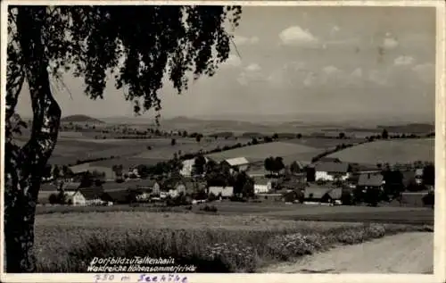 Foto Ak Falkenhain Altenberg im Osterzgebirge, Panorama