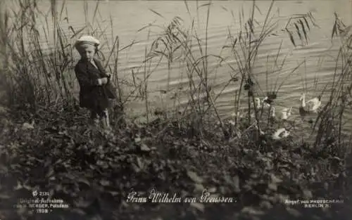 Ak Prinz Wilhelm von Preußen, Kinderportrait, Matrosenmütze, Enten