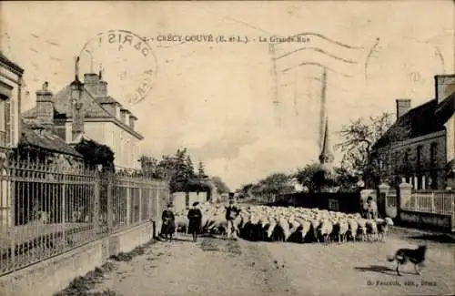 Ak Crecy Couve Eure-et-Loir, La Grande Rue, Schafe