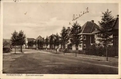 Ak Aerdenhout Nordholland Niederlande, Zonnebloemlaan