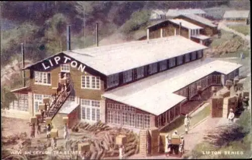 Ak Ceylon Sri Lanka, Blick auf die Ceylon-Teeplantage, Lipton