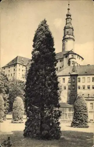 Ak Weesenstein im Müglitztal, Schloss, Parkbild