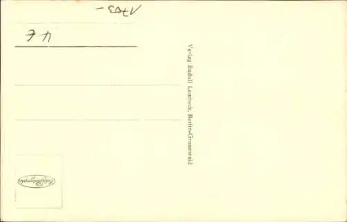 Ak Neubrandenburg, Wiekhäuser am Treptower Tor, Gasse, Holzscheite, Windhäuser