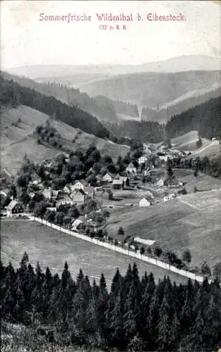 Ak Wildenthal Eibenstock Erzgebirge, Gesamtansicht