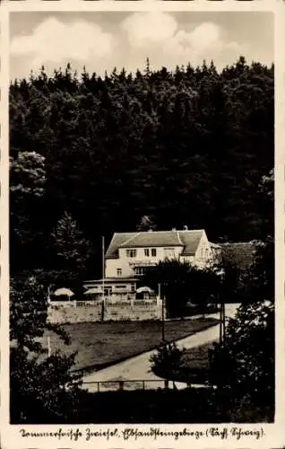 Ak Zwiesel Bad Gottleuba-Berggießhübel in Sachsen, Fremdenhof Waldfrieden Baude