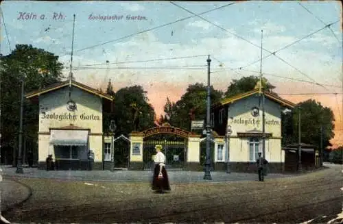 Ak Köln am Rhein, Zoologischer Garten, Eingang