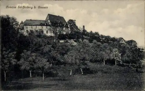 Ak Petersweiher Gießen an der Lahn Hessen, Ansicht von Domäne Schiffenberg