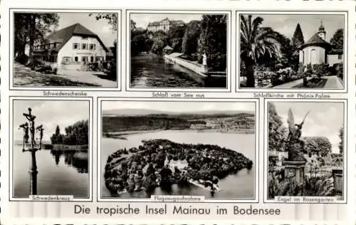 Ak Insel Mainau im Bodensee, Rosengarten mit Schlosskirche, Schwedenkreuz, Schwedenschänke