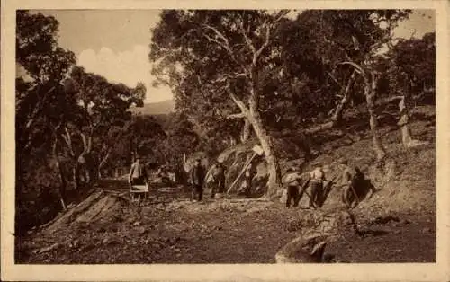 Ak Rayol Var, Corniche des Maures, Station climaterique et balneaire