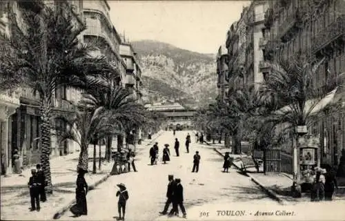 Ak Toulon Var, Avenue Colbert