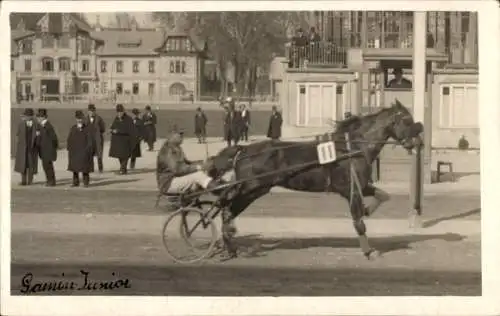 Foto Pferderennsport, Streitwagen Nr. 11, Gamin Junior