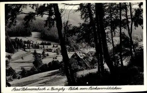 Ak Czerniawa Zdrój Bad Schwarzbach Isergebirge Schlesien, Blick vom Birkenwäldchen