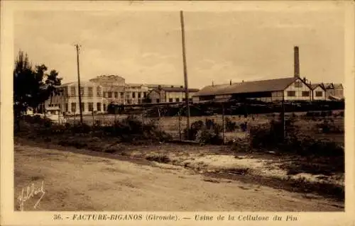 Ak Gradignan Gironde, Usine de la Cellulose du Pin