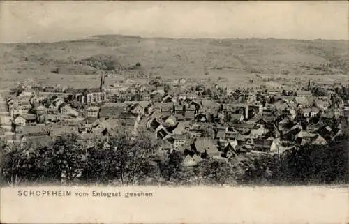 Ak Schopfheim in Baden, Gesamtansicht vom Entegast gesehen