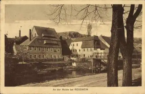 Ak Roßwein in Sachsen, Teilansicht an der Mulde