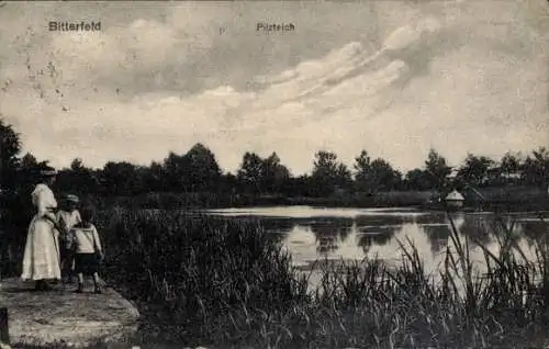 Ak Bitterfeld in Sachsen Anhalt, Pilzteich