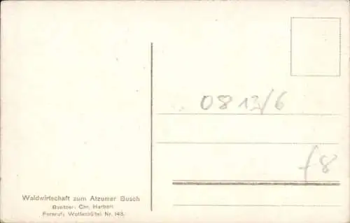 Ak Atzumer Busch Wolfenbüttel in Niedersachsen, Waldwirtschaft
