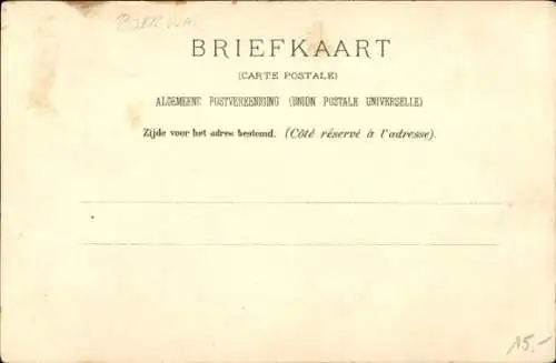 Künstler Litho Thiele, Arthur, Die erschrockenen Esel, Burenkrieg