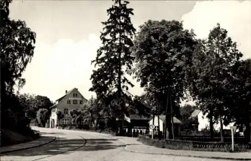 Ak Eichhorst Schorfheide Barnim, Straßenpartie am Werbellinsee