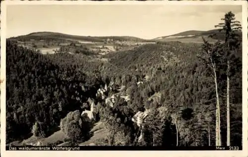 Ak Międzygórze Wölfelsgrund Schlesien, Panorama, Kirche