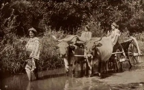 Ak Rumänien, Bäuerinnen, Rinderwagen im Wasser