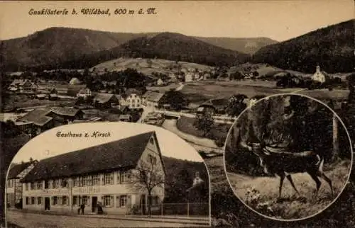 Ak Enzklösterle im Schwarzwald, Gesamtansicht, Gasthaus z. Hirsch, Hirsch