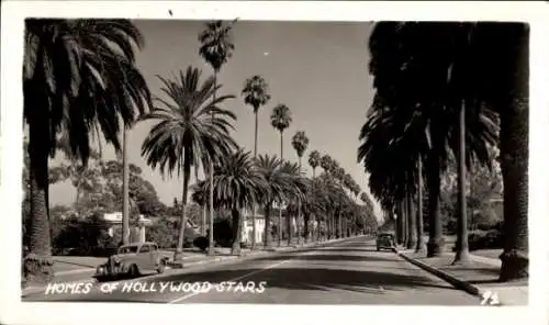 Foto Ak Los Angeles Kalifornien USA, Heimat der Hollywood Stars, Allee, Palmen