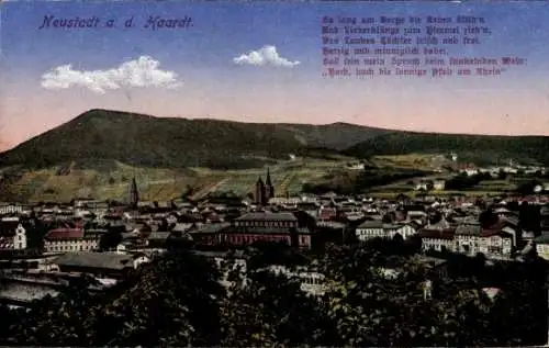 Ak Neustadt an der Weinstraße, Panorama