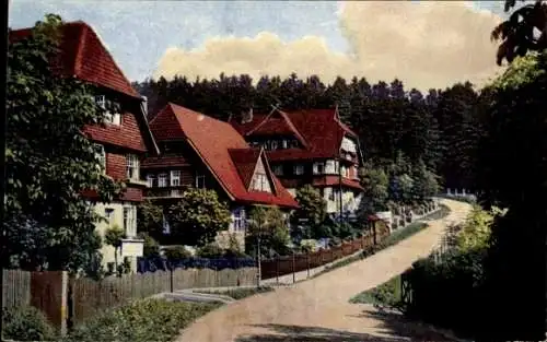 Ak Braunlage im Oberharz, Ansicht vom Ramsenweg, Wohnhäuser