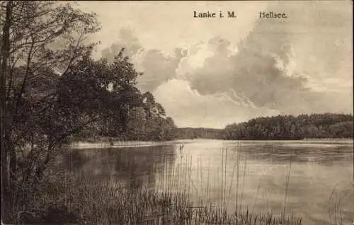 Ak Lanke Wandlitz, Partie am Hellsee, Gräser, Bäume, Ufer, Strand, Wolken