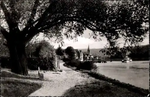 Ak Unkel am Rhein, Blick vom Dicken Baum