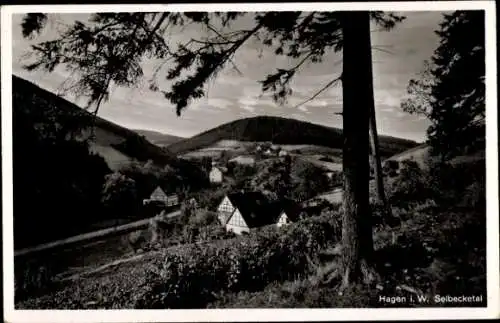 Ak Hagen in Westfalen, Selbecketal